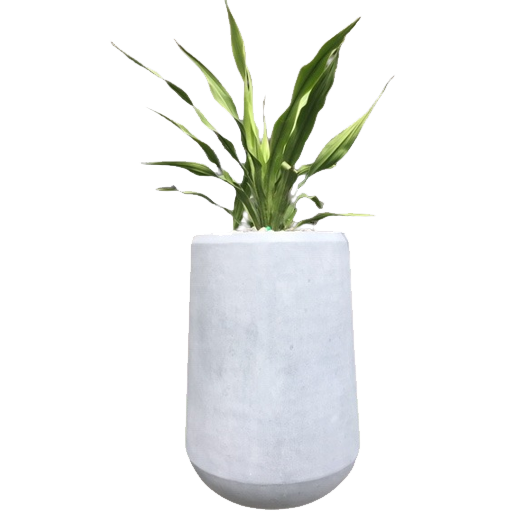 East Short Pot Grey